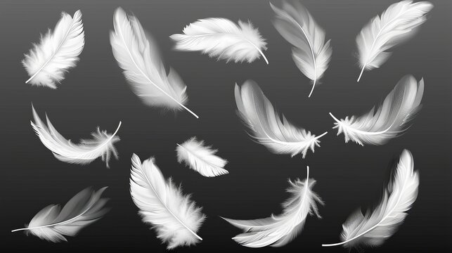 Fototapeta Soft white feathers, realistic modern illustration of angels, geese, swans, and doves. Lightweight feather set, realistic illustration with white feathers.