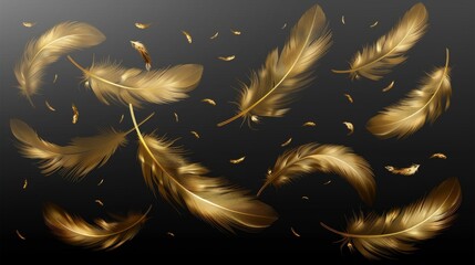 Vintage pen with gold feathers. Golden feathers flying in the air isolated on transparent background. Modern realistic illustration with golden feathers.