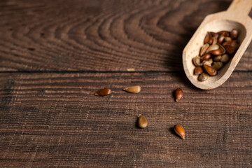 Apple seed on wooden background and in spoon.