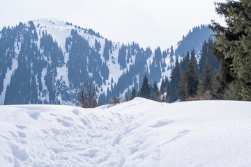 A trail in deep snow high in the mountains not far from Almaty on the route to Mount Kaskabas.