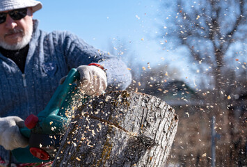 Chain saw operation. A saw is sawing off part of an old tree in the background by the man who is holding it. Sawdust flies in different directions. - obrazy, fototapety, plakaty