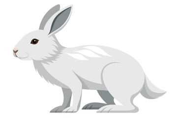 Arctic Hare Vector Illustration
