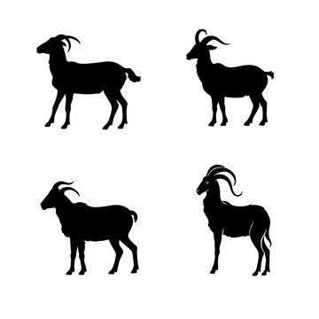 Silhouette of a animals side view isolated 