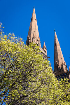 St Patrick’s Cathedral, Melbourne: A Gothic Revival Masterpiece