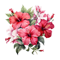 Hibiscus bouquet, bunch isolated on transparent png. - obrazy, fototapety, plakaty
