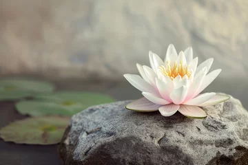Photo sur Plexiglas Pierres dans le sable Spa Stones And Waterlily With Fountain In Zen Garden. Detail of lotus flower on a blurred background,