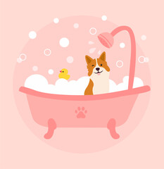 Illustration of dog grooming on pink background.