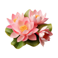 Lotus bouquet, bunch isolated on transparent png.