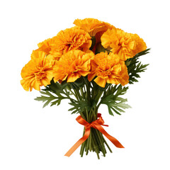 Marigold bouquet, bunch isolated on transparent png.