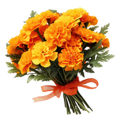 Marigold bouquet, bunch isolated on transparent png.