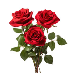 Red Rose bouquet, bunch isolated on transparent png.