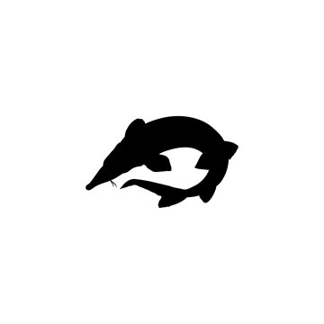 recommend clip art: Beluga Sturgeon or Huso Fish Silhouette, Flat Style, Fish Which Produce Premium and Expensive Caviar, For Logo Type, Art Illustration, Pictogram, Apps, Website or Graphic Design Element. Vector 