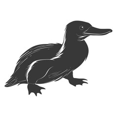 Fototapeta premium Silhouette platypus animal black color only full body