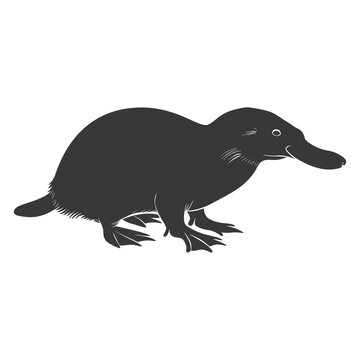 Silhouette platypus animal black color only full body