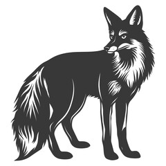 Fototapeta premium Silhouette red fox animal black color only full body