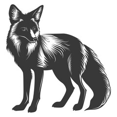 Fototapeta premium Silhouette red fox animal black color only full body