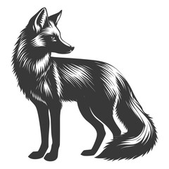 Fototapeta premium Silhouette red fox animal black color only full body