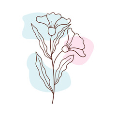 Minimalist botanical floral aesthetic element