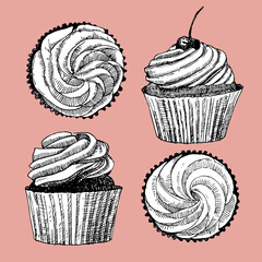Cupcakes set, hand drawn sketch, vector illustration 