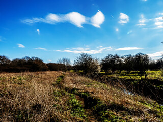 field and sky