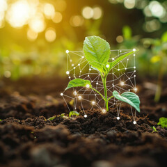 Witness the growth journey of a young plant against a sunny backdrop, complemented by 16 digital nutrients icons. AI generative. - obrazy, fototapety, plakaty