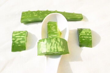 Aloe vera slices. Many Ayurvedic medicines are made using its juice. Its make topical...
