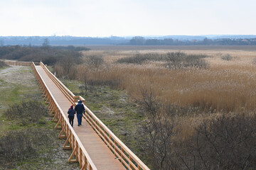 Rewa, Poland - March 9, 2024: Educational path in Mechelinki Meadows Nature Reserve located in Rewa village. Poland