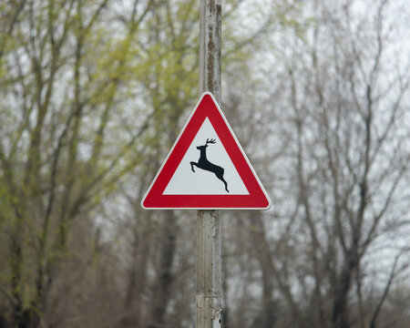 Selective focus photo of a Wild animals crossing warning sign on a metal pole with a trees in the background