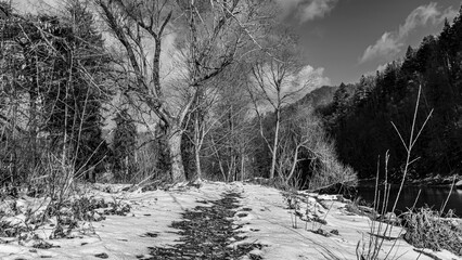 Winter landscape in the Poprad Landscape Park in Beskid Sadecki on a sunny,december day.