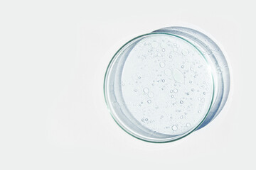 Petri dish. Petri's cup with liquid. Chemical elements, oil, cosmetics. Gel, water, molecules, viruses. Close-up. On a white background.