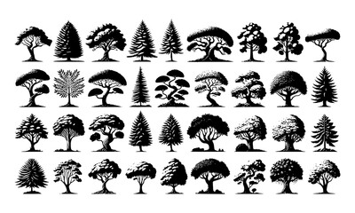 Diversity of trees set on background white