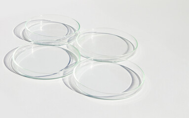 An empty petri dishes on a light background.