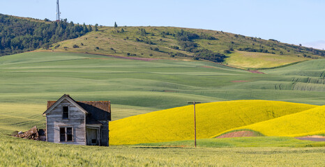 Abandoned homestead in the far fields of the Palouse