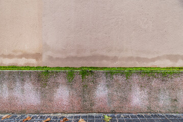 Depending on the species of moss, they reach a height of 1 to 10 cm, although there are some larger...