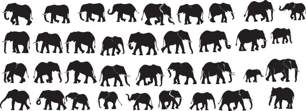 Set of Elephant silhouette collection stock illustration