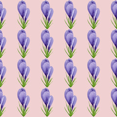 Watercolor spring crocuses seamless pattern, spring flower digital paper on pink background. Hand painted floral illustration. For textile design, packaging, wrapping paper, wallpaper, scrapbooking.