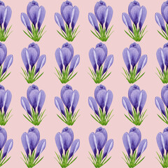 Watercolor spring crocuses seamless pattern, spring flower digital paper on pink background. Hand painted floral illustration. For textile design, packaging, wrapping paper, wallpaper, scrapbooking.