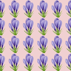 Watercolor spring crocuses seamless pattern, spring flower digital paper on pink background. Hand painted floral illustration. For textile design, packaging, wrapping paper, wallpaper, scrapbooking.