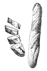 Homemade baguette, hand drawn sketch, vector illustration  - 755013271