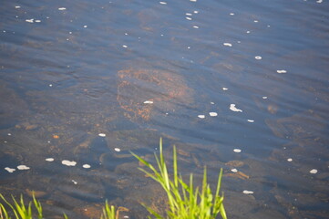 water see 