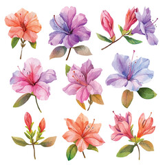 simple vector watercolour set of beautiful azalea flower