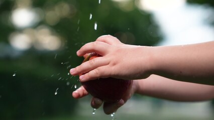 Little kid hands washing fresh ripe organic red apple with water flow outdoor at summer park...