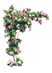 Naklejka premium Climbing rose arch, Hand drawn watercolor illustration isolated on white background