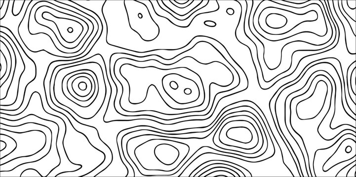 abstract topographic vector white lines pattern.topographic line texture background .monochrome image ,geographic contour map paper texture.Salmon fillet texture, fish pattern. paper texture, abstract
