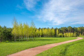 Spring forest and green grass and dirt path against the background of beautiful clouds with blue skies. Spring natural landscape.