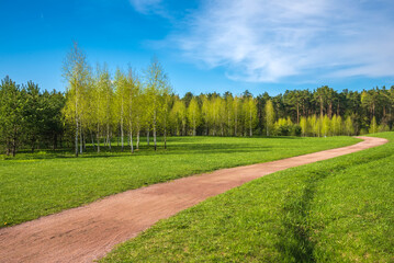 Fototapeta na wymiar Spring forest and green grass and dirt path against the background of beautiful clouds with blue skies. Spring natural landscape.