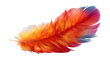 The Elegance of a Parrot Feather Isolated On Transparent Background 