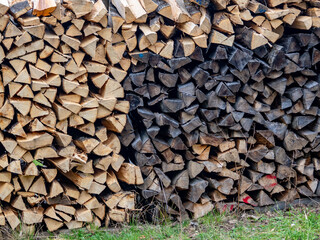 Brennholz lagert auf einer Streuobstwiese