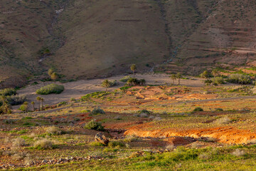 Barranco de las Peñitas, Fuerteventura - 755019660