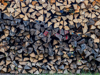 Brennholz lagert auf einer Streuobstwiese